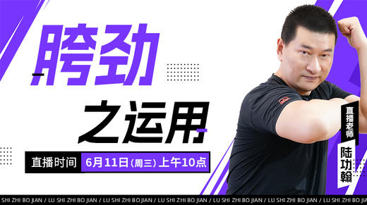 【6月11日】胯劲之运用 商品图0