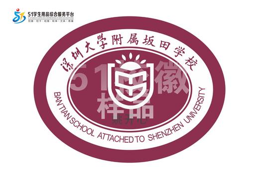 定制深圳大学附属坂田学校熨烫校徽礼服布标姓名贴胸章缝制包邮51 商品图2