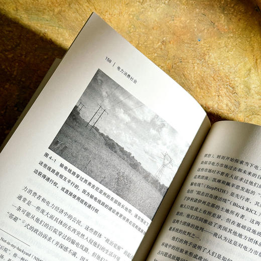 电力消费社会 薄荷实验 电力市场 插座背后的经济学 商品图12