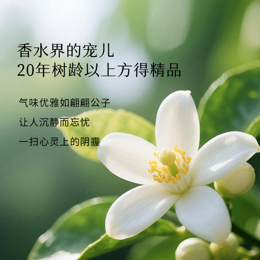 枕草子橙花精油 纯净优雅 净白肌肤无暇如“小白花” 商品图2