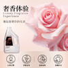 超值3瓶装 西班牙原装进口大师特调香氛2.0全新升级 花卉诗乌木玫瑰持久香氛洗衣液 深层洁净温和亲肤 商品缩略图1