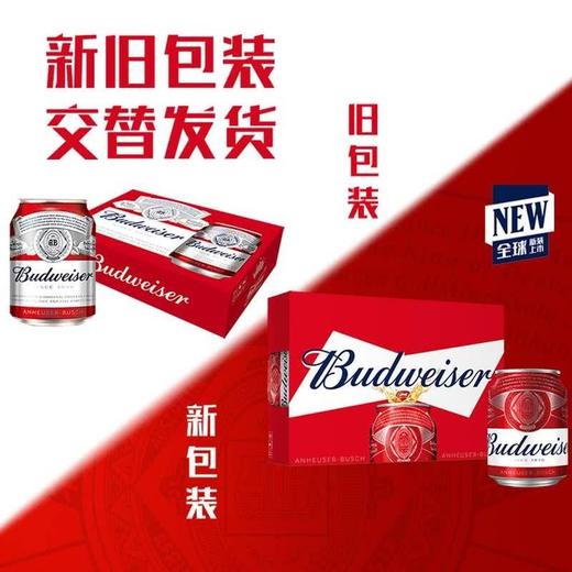 【悦惠精选】百威啤酒255ml*24 商品图4