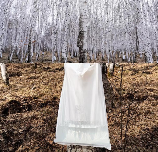 保质期至5月 29.9到手12瓶，【臻心桦100%白桦汁水】300ml/瓶🔺配料只有白桦树汁🔺一瓶喝进60多种天然营养精华❗ 商品图7