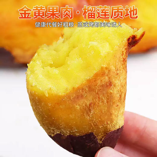 广西榴莲蜜薯粉糯香甜 商品图1