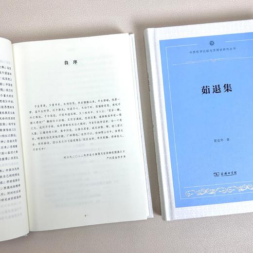 茹退集(中西哲学比较与文明史研究丛书) 商品图3