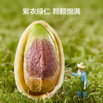 京东京造 鲜来多大颗粒开心果1.13kg无漂白每日坚果干果零食量贩装孕妇 /休闲食品 /坚果炒货 /开心果 商品图5