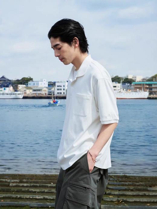 Evistub/E-5XDX502/进口水柔棉POLO衫短袖男 商品图2