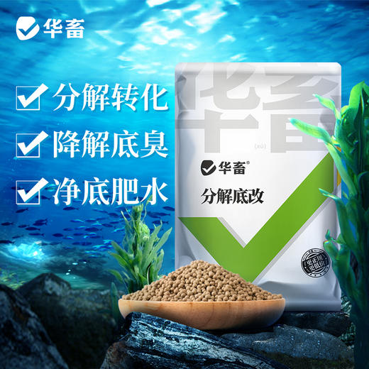 华畜分解底改水产养殖鱼虾蟹塘用调水净水王粪肠球菌生物改底颗粒 商品图2