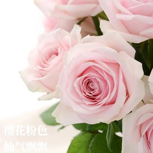 国产单头玫瑰粉红雪山玫瑰10支 商品图4