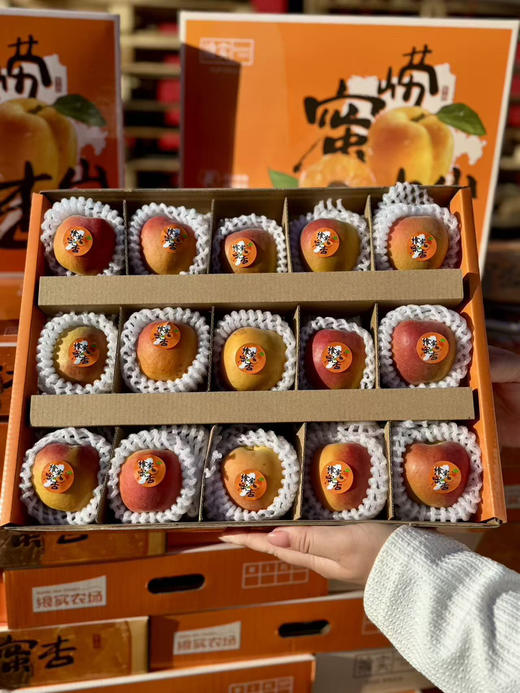 飨实®崂山蜜杏
三十年耕耘，十年品牌路
铸就非凡蜜杏
崂山山地种植，山泉水灌溉
软糯香甜，甜蜜多汁
净五斤，48枚 商品图4