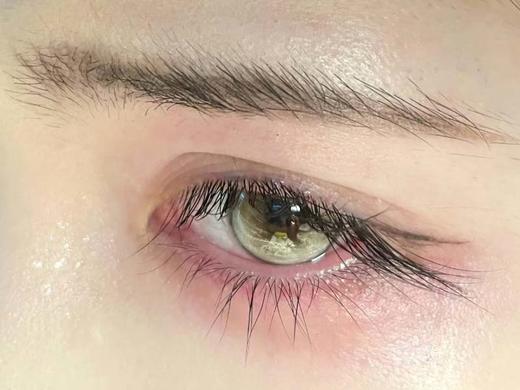 illusionDuck 半年抛 全息预言 直径14.5mm着色14.0mm 商品图7