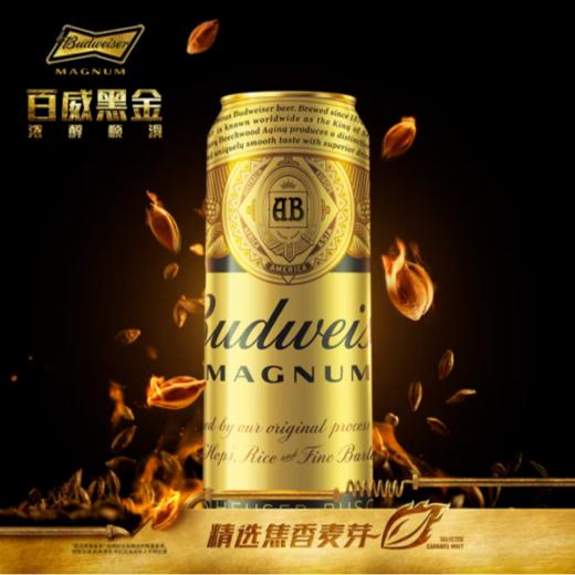百威深金焦香醇厚啤酒500ml/罐 商品图3