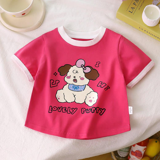 【爆单王💰39.9/3件】80-160码🌈儿童夏季新款卡通印花短袖T恤男女童洋气可爱上衣聚 商品图12