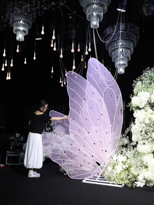 羽翼（运费自理） 商品图7