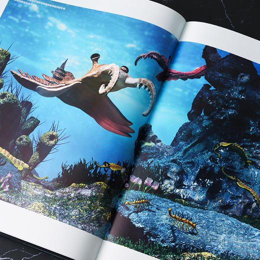 《到深海去》百余种海洋生物影像 自然史、海洋生物学、古动物学爱好之书 国家地理官方正版-分销 商品图6