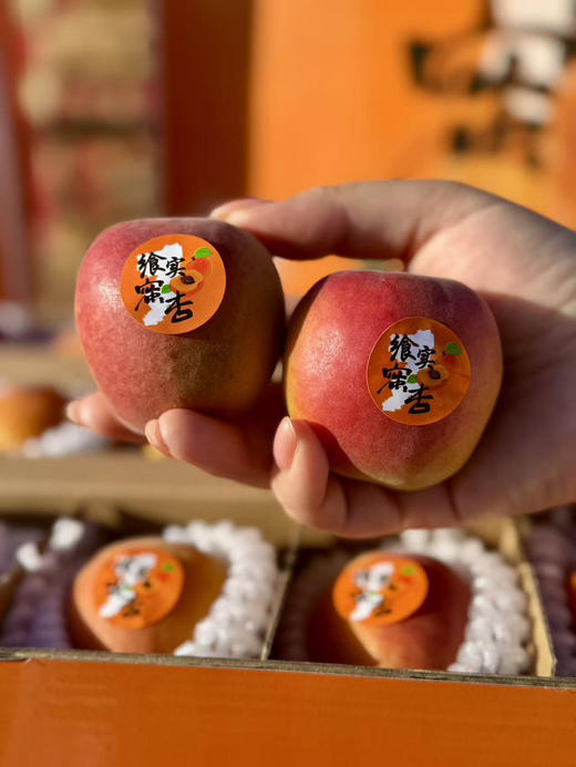 飨实®崂山蜜杏
三十年耕耘，十年品牌路
铸就非凡蜜杏
崂山山地种植，山泉水灌溉
软糯香甜，甜蜜多汁
净五斤，48枚 商品图3