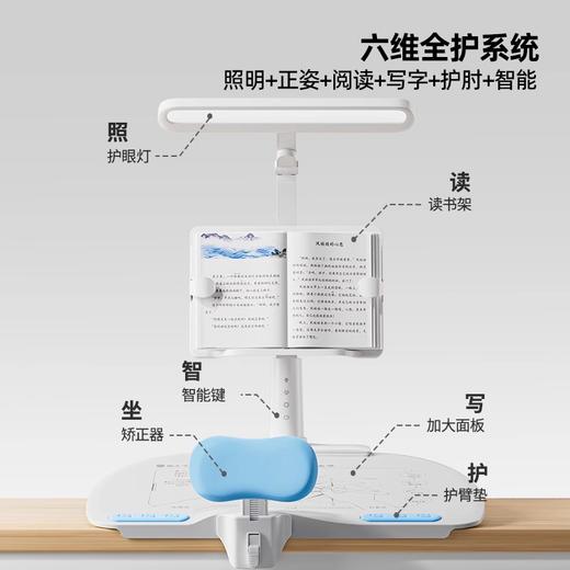 心选丨【猫太子M1443-13】坐姿卫士 黄金12°六维正姿学习台PLUS 商品图3