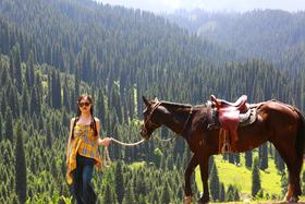 伊犁客照丨 “惦记3年的夏日北疆，今年行影帮我实现了”