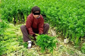 坐1小时 = 湿气渗透8小时？试试“坐灸”自救法！ 