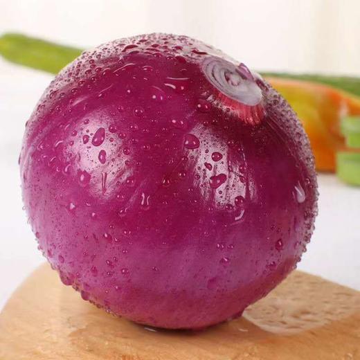 贵安紫皮洋葱5斤/10斤新鲜洋葱现挖现发圆葱头批发价农家自种当季精品大果5斤 商品图8