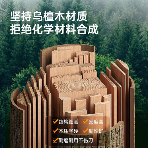 炊大皇  乌檀木小熊砧板40*28*2cm  ZB01XX 商品图5