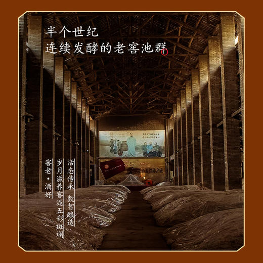 52度诗春秋风雅颂典之颂浓香型白酒500ml 商品图3