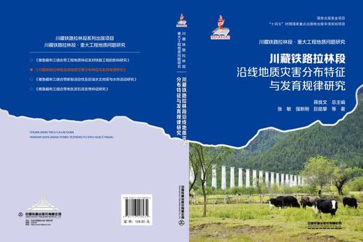 298234川藏铁路拉林段沿线地质灾害分布特征与发育规律研究 商品图1