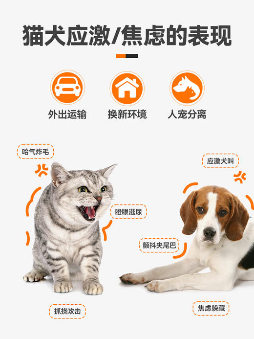 普安特猫咪狗狗多乐安舒缓片宠物缓解应激安抚情绪外出减少焦虑 商品图1