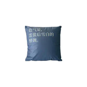 「日本色气」抱枕·构想书单