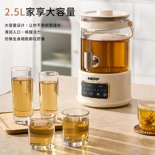 NERF恒温智能电热水壶开水瓶花茶壶RC-Z825D2 商品图2