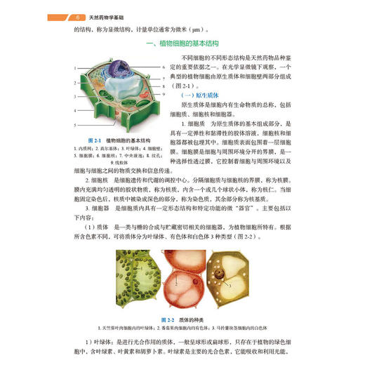 天然药物学基础 第3三版 职业教育新形态教材 袁国卿主编 供职业教育药剂 中药 中药制药及相关专业使用 9787030811516科学出版社  商品图4