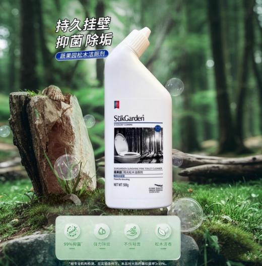 蔬果园阳光松木洁厕剂（强效去垢型）单 商品图0