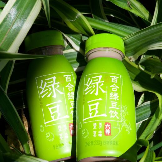 【斌哥优选】六养百合绿豆汁，免熬免煮，甄选食材，配料表巨干净，解烦热，清爽回甘。暑天灭火器，夏日首选饮品！ 商品图3