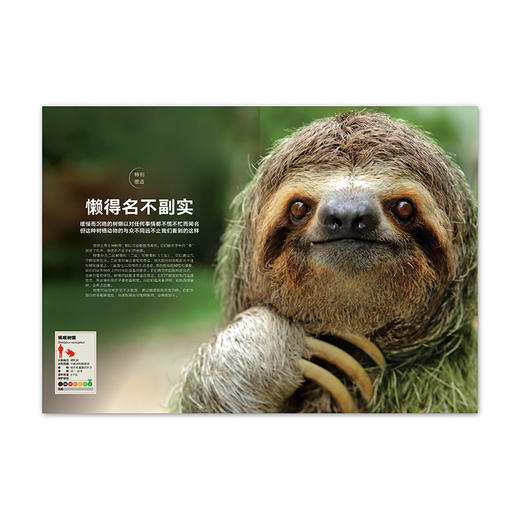 动物志08《亲密关系》 商品图3