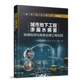 城市地下工程渗漏水病害快速检测与高效治理工程实践