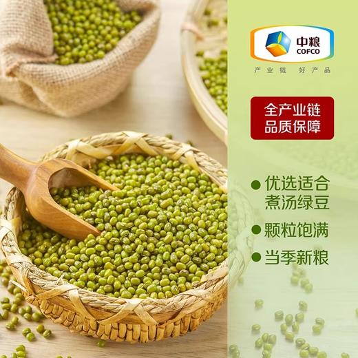 【特惠】中粮初萃绿豆1kg 商品图1