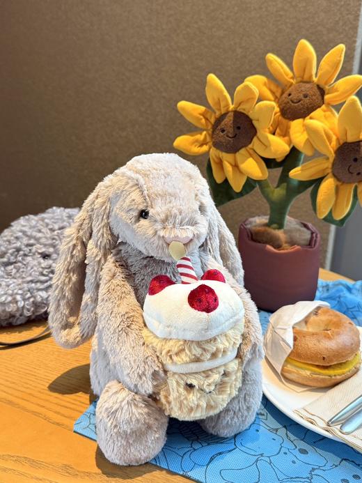 专属快乐暴击！jc兔子蛋糕生日/毕业季生日🎂闭眼送礼不踩雷 商品图4