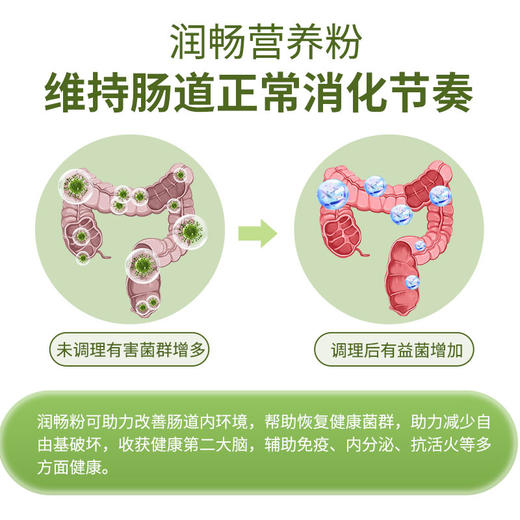 食为耀润畅营养粉唐辉博士研发益生元膳食纤维10g*24包1岁上吃 商品图4
