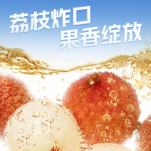 会稽山气泡黄酒荔枝味易拉罐装330ml*12 商品图3