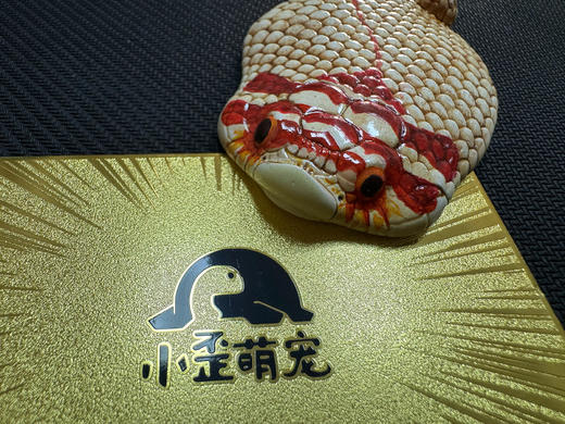 萌宠猪鼻蛇 手办摆件 桌面潮玩 扁造型 模型 ★小歪萌宠 正版 商品图1