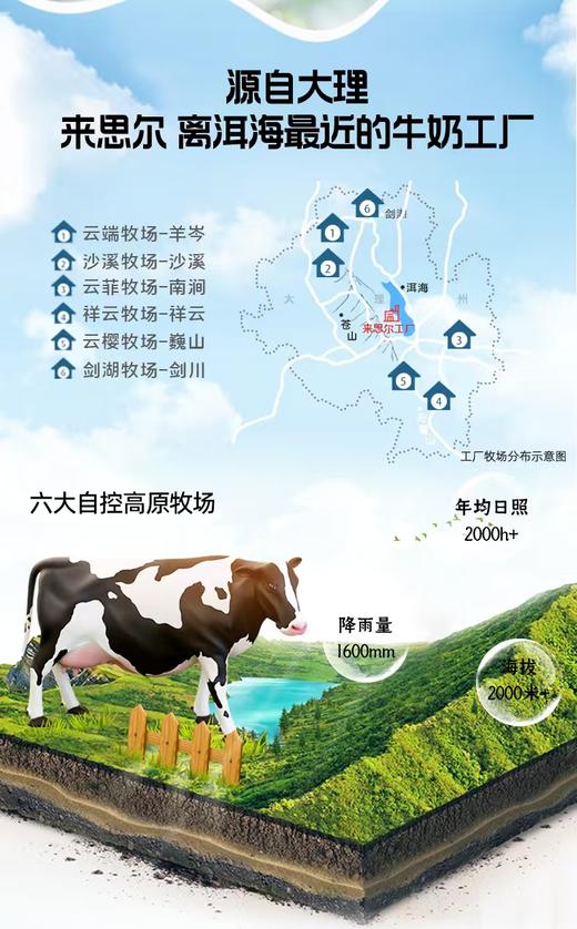 来思尔 牛油果青瓜 西柚石榴 小食袋风味低温酸奶10袋*200g 厂家直发 商品图4