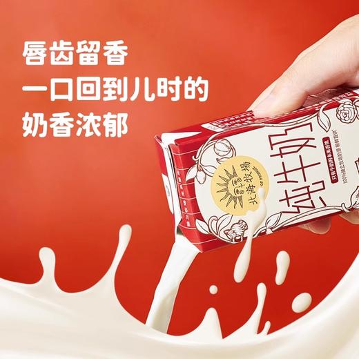 【特惠】北海牧场纯牛奶原味200ml*10 商品图1