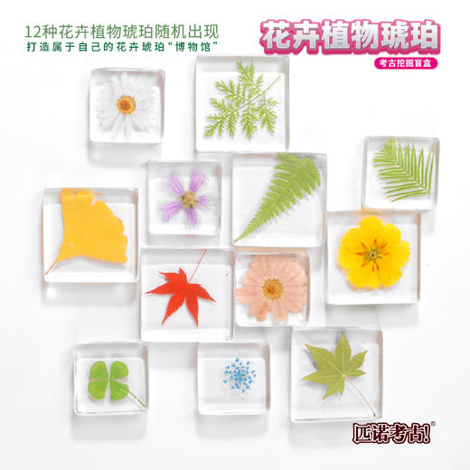 【琥珀昆虫精灵+花卉植物琥珀】匹诺考古挖掘琥珀昆虫精灵玩具考古挖掘宝石琥珀探索寻宝手工玩具 商品图7