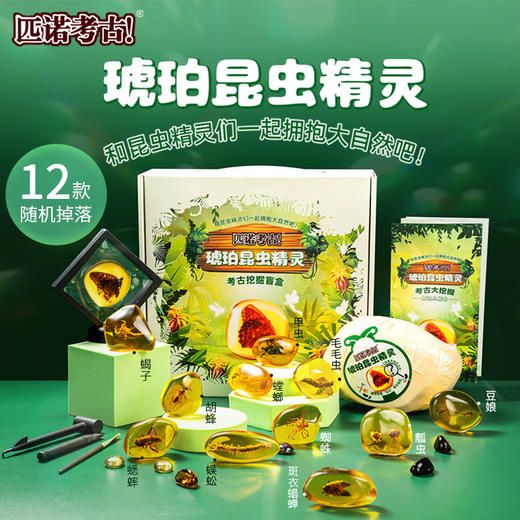 【琥珀昆虫精灵+花卉植物琥珀】匹诺考古挖掘琥珀昆虫精灵玩具考古挖掘宝石琥珀探索寻宝手工玩具 商品图0