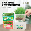 【水培芽菜+猫草种植】无土水培小菜苗 爆盆猫草盆栽绿植 商品缩略图1