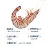 海大厨-船冻红虎虾13-15头原价198元/袋，现价161.8元/袋（为保证品质，限辽宁省内发货） 商品缩略图3