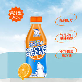北冰洋PET桔汁汽水300ml*24瓶-XJ