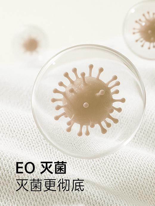 【女士内裤纯棉】BEBE STAR纯棉灭菌日抛免洗便捷独立包装出差旅游 商品图5