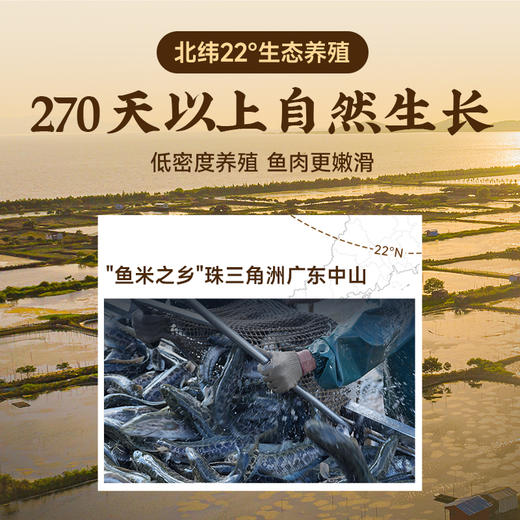 【99元任选4件】活鱼鲜切 火锅黑鱼片250g/包 商品图4