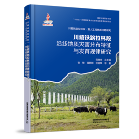 298234川藏铁路拉林段沿线地质灾害分布特征与发育规律研究